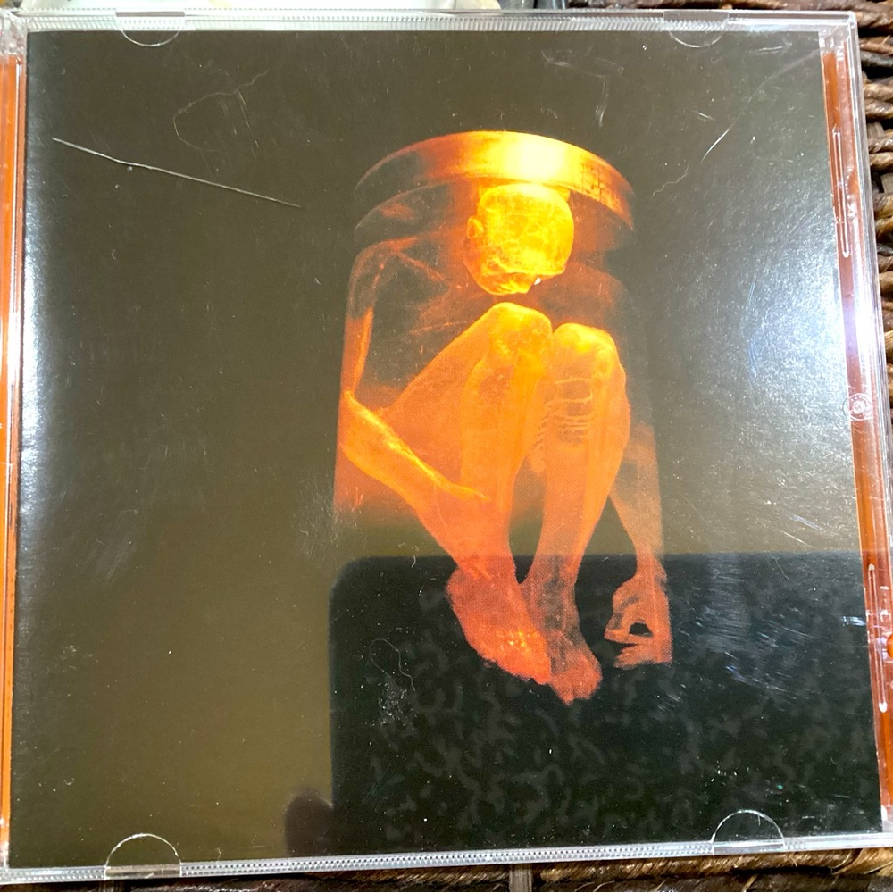 Sealed Alice In Chains “Nothing Safe” CD